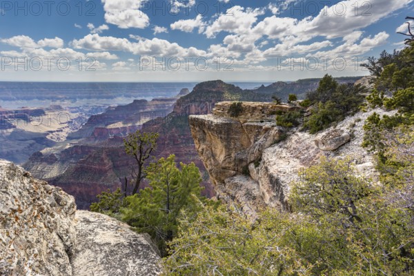 North Rim of the Grand Canyon in Northern Arizona, USA