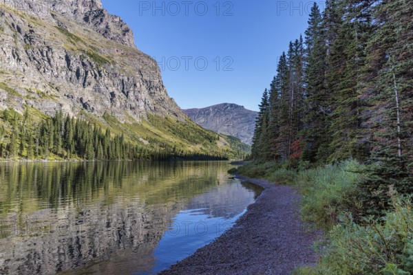 240831_124 Pine forest and rugged mountains along the shoreline of Lake Josephine in Glacier National Park, Montana, USA