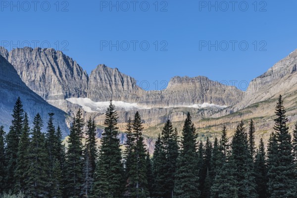 240831_117 Ice deposits in the rugged mountains behind the pine forest along the Lake Josephine shoreline in Glacier National Park, Montana, USA