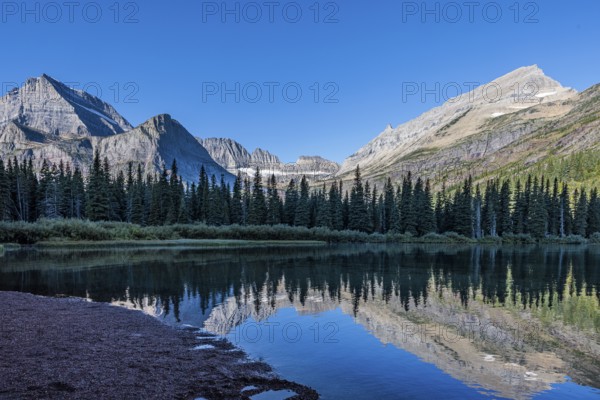240831_115 Rugged mountains behind the pine forest along the Lake Josephine shoreline in Glacier National Park, Montana, USA