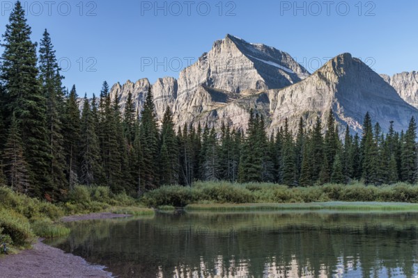 240831_126 Rugged mountains behind the pine forest along the Lake Josephine shoreline in Glacier National Park, Montana, USA