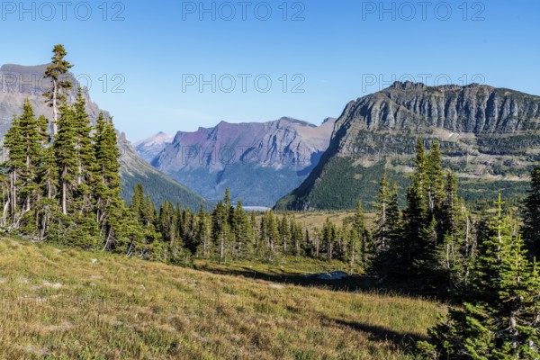 240905_124 Hidden Lake Trail from the Logan Pass Visitor Center along the Going to the Sun Road in Glacier Natioinal Park, Montana, USA