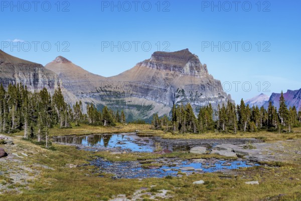 240905_111 Mountains colored by minerals rise up behind a pond along the Hidden Lake Overlook Trail from the Logan Pass Visitor Center in Glacier Natioinal Park, Montana, USA