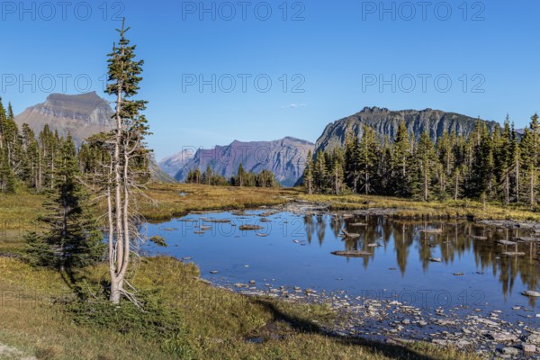 240905_116 Pond along the Hidden Lake Overlook Trail from the Logan Pass Visitor Center in Glacier Natioinal Park, Montana, USA