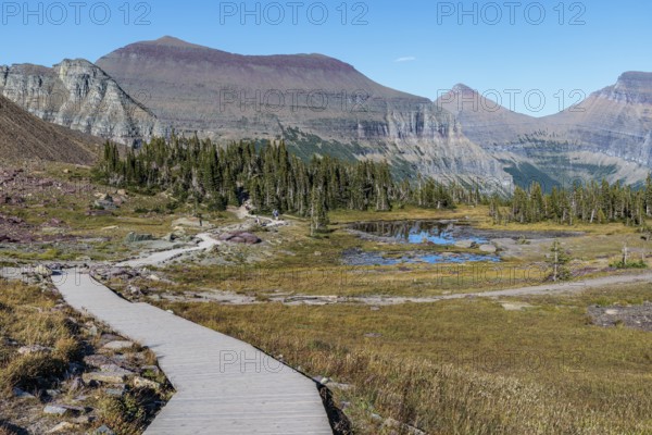 240905_108 Mountains colored by minerals rise up behind a pond along the Hidden Lake Trail from the Logan Pass Visitor Center in Glacier Natioinal Park, Montana, USA