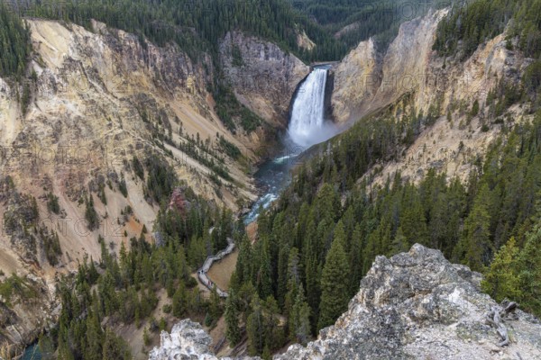 240913_029 Lower falls of the Yellowstone River in Yellowstone National Park, Wyoming, USA