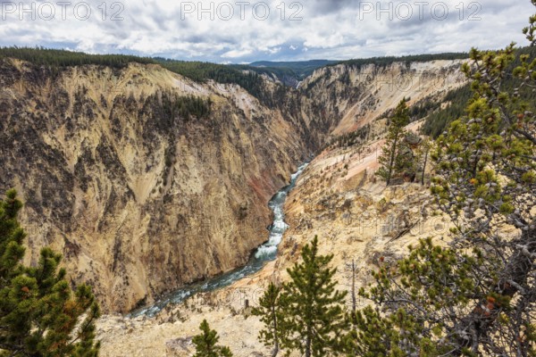 240913_059 Yellowstone River flowing through sandstone rock forming the Grand Canyon of the Yellowstone in Yellowstone National Park, Wyoming, USA