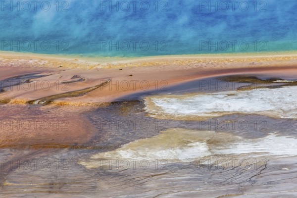 180823_018 Close up view of the outer perimeter of the Grand Prismatic Spring in the Midway Geyser Basin of Yellowstone National Park, Wyoming