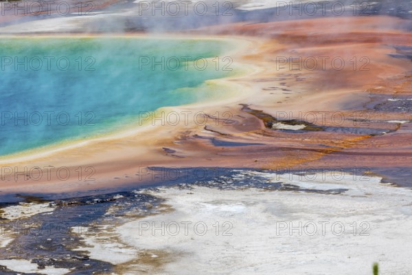 180823_028 Brown layered stratiform mats at the outer perimeter of the Grand Prismatic Spring in the Midway Geyser Basin of Yellowstone National Park, Wyoming