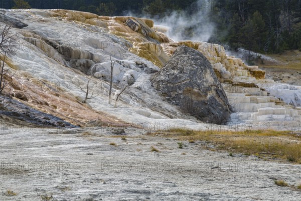 180822_099 Hill of calcium carbonate expelled from Palette Spring over time in the Mammoth Hot Springs area of Yellowstone National Park, Wyoming