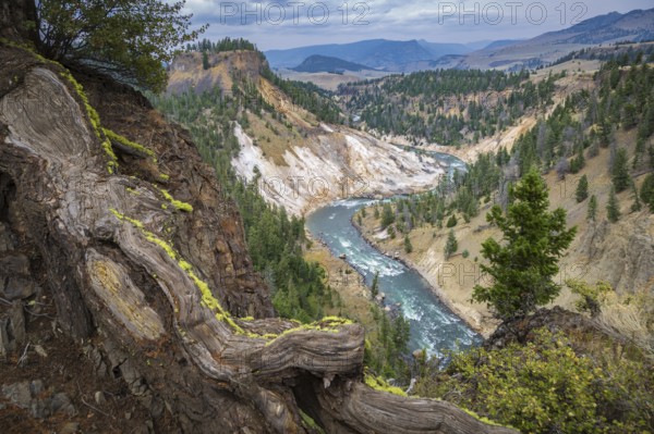 180822_049 View of the Yellowstone River at the bottom of the Grand Canyon of the Yellowstone from Calcite Springs Overlook in Yellowstone National Park, Wyoming