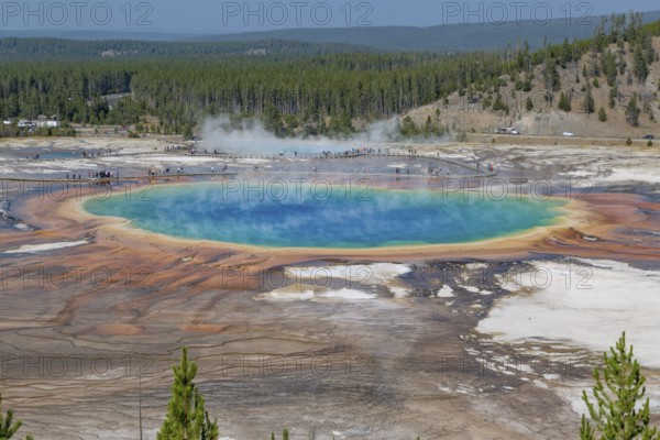 180823_010 Park visitors on observation boardwalk get close up view of the Grand Prismatic Spring in the Midway Geyser Basin of Yellowstone National Park, Wyoming