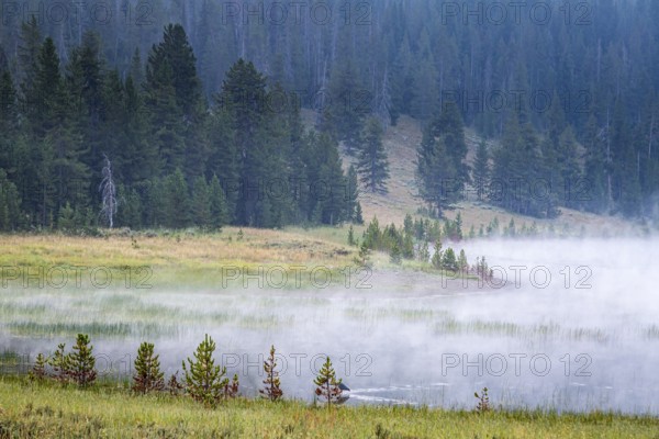 180819_001 Early morning fog rising from the Madison River along Hwy 191 near the west gate of Yellowstone National Park in Wyoming