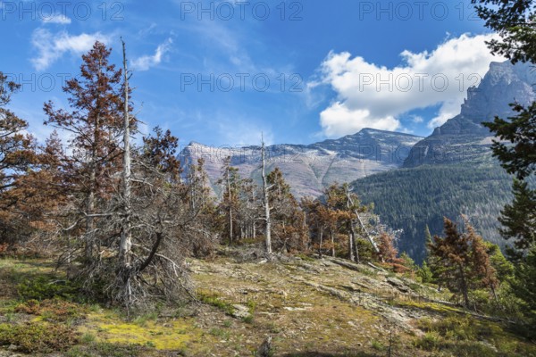 180828_195 Rugged mountains in the Two Medicine area of Glacier National Park, Montana, USA