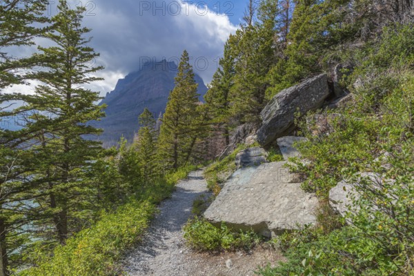 180828_210 Hiking trail on the east side of Glacier National Park, Montana, USA