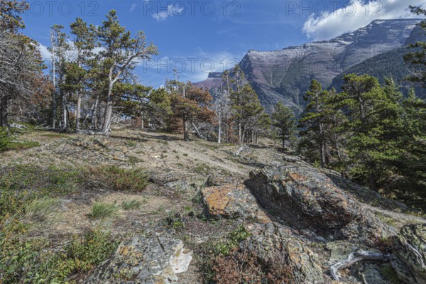 180828_198 Rugged mountains in the Two Medicine area of Glacier National Park, Montana, USA