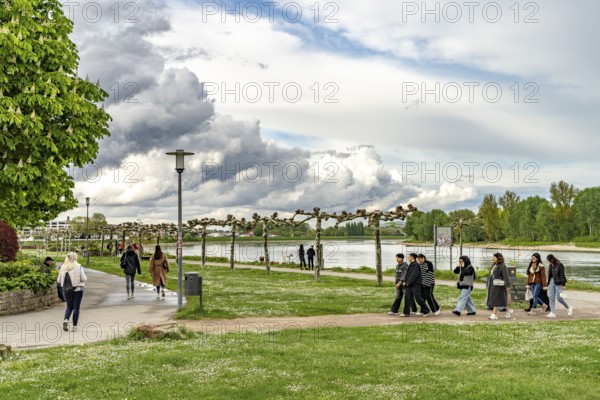 Rhein Promenade Helmut-Kohl-Ufer in Speyer, Rhineland-Palatinate, Germany