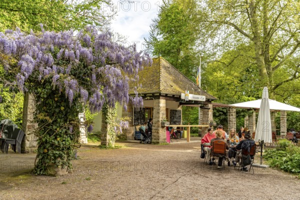 Cafe im Domgarten in Speyer, Rhineland-Palatinate, Germany