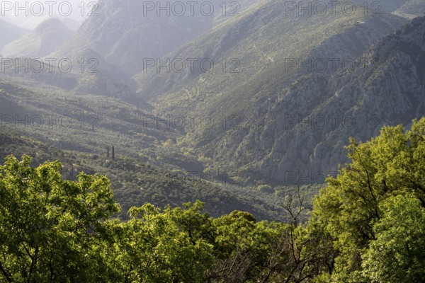 Valley in the countryside near the archaeological site of Delphi, UNESCO World Heritage Site in Delphi, Greece