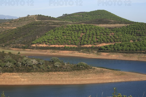 Landscape at Barragem da Bravura Reservoir with Pine Forest, Algarve, Portugal, Green Hills and Forest Surround a Tranquil Lake with Blue Water