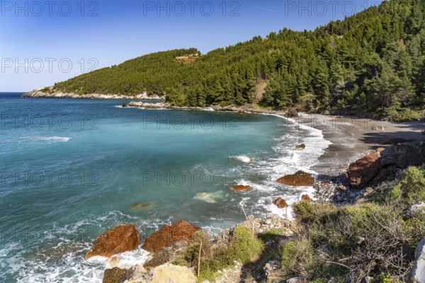 Karbouna beach near the village of Pili or Pelio, island of Euboea or Evia, Greece