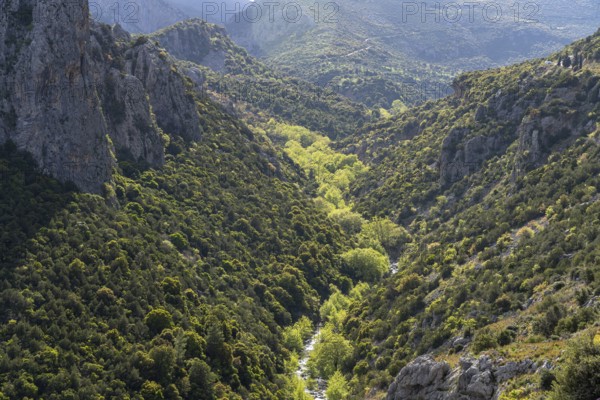 The Manikiatis River in the Manikia Gorge on the island of Euboea or Evia, Greece