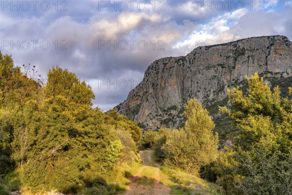 Hiking trail in the Manikia Gorge on the island of Euboea or Evia, Greece