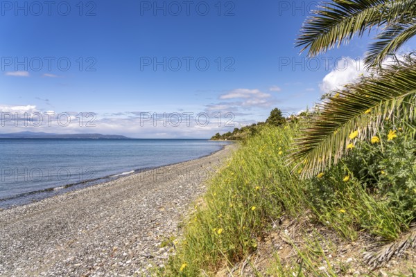 Beach near Politika on the island of Euboea or Evia, Greece
