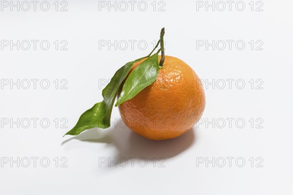 Fresh mandarin with leaf on white background