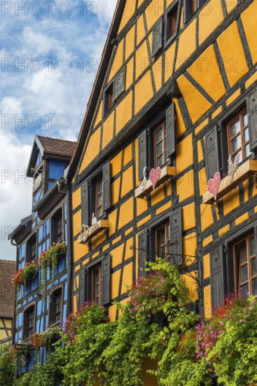Decorated timber-frame house in the historic old town of Riquewihr, Ellsass