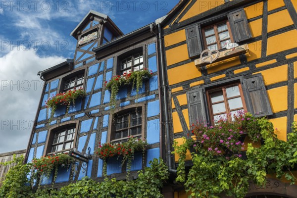 Decorated half-timbered houses in the historic old town of Riquewihr, Ellsass