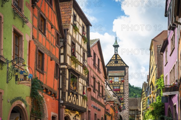 Colourful half-timbered houses in the historic old town of Riquewihr, Ellsass