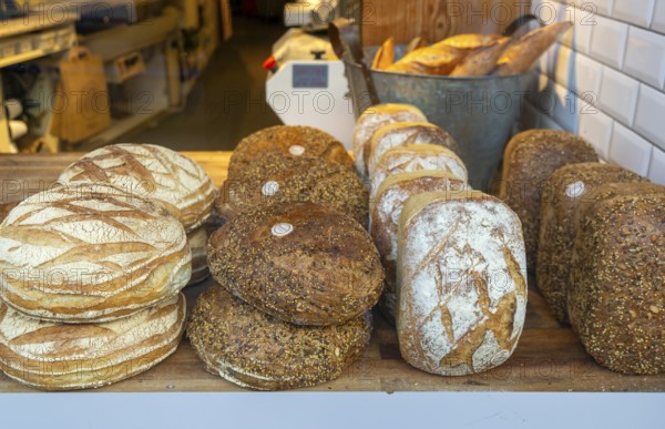 Freshly baked loaves of bread on display in shop window of Reeves bakers, Devizes, Wiltshire, England, UK