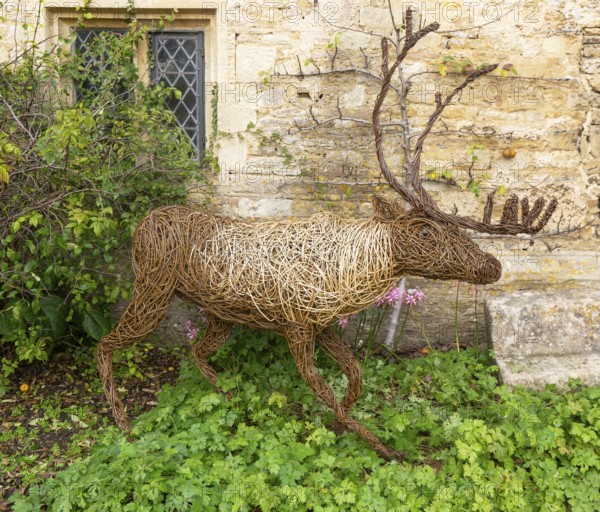 Reindeer deer stag sculpture handmade from woven wicker, Lacock, Wiltshire, England, UK by Woody Fox
