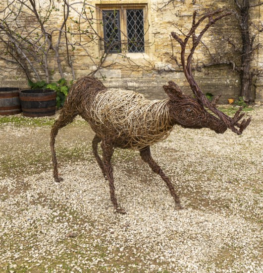 Reindeer deer stag sculpture handmade from woven wicker, Lacock, Wiltshire, England, UK by Woody Fox