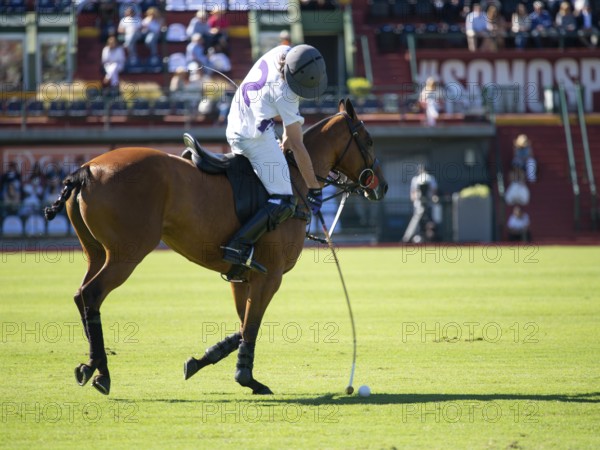 Polo player Paco de Narvaez from Team Sol de Agosto at the 132nd Argentine Open Polo Championship (Spanish 132nd Abierto Argentino de Polo de Palermo) at the Polo Stadium in Buenos Aires, Argentina