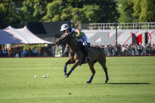 Polo player Camilo Castagnola from Team La Natividad La Dolfina at the 132nd Argentine Open Polo Championship (Spanish 132nd Abierto Argentino de Polo de Palermo) at the Polo Stadium in Buenos Aires, Argentina
