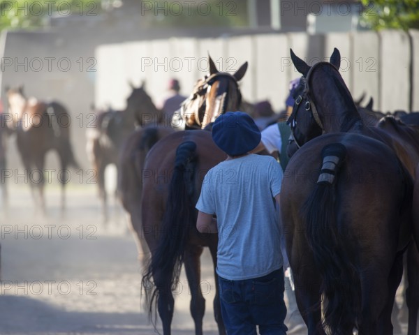 Scene at the 132nd Argentine Open Polo Championship (Spanish 132nd Abierto Argentino de Polo de Palermo) at the Polo Stadium in Buenos Aires, Argentina
