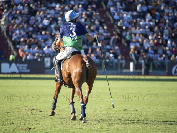Polo player Adolfo Cambiaso from Team La Natividad La Dolfina at the 132nd Argentine Open Polo Championship (Spanish 132nd Abierto Argentino de Polo de Palermo) at the Polo Stadium in Buenos Aires, Argentina