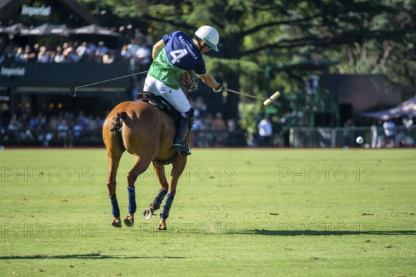 Polo player Bartolome Castagnola from Team La Natividad La Dolfina at the 132nd Argentine Open Polo Championship (Spanish 132nd Abierto Argentino de Polo de Palermo) at the Polo Stadium in Buenos Aires, Argentina