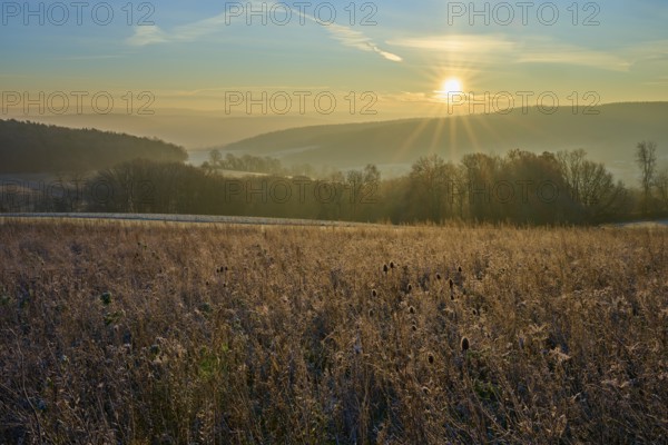 Frozen field at sunrise, bright sun over the landscape illuminating nature, Seckmauern, Lützelbach, Maintal, Odenwald, Hesse, Germany