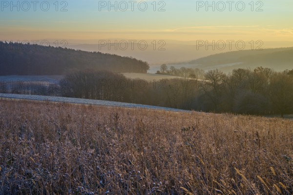 Frozen field with trees at dawn illuminated by the sun showing the silent beauty of nature, Seckmauern, Lützelbach, Maintal, Odenwald, Hesse, Germany