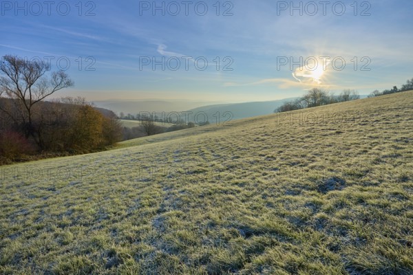 Frost covers a hill in sunrise light on a clear morning, Seckmauern, Lützelbach, Maintal, Odenwald, Hesse, Germany
