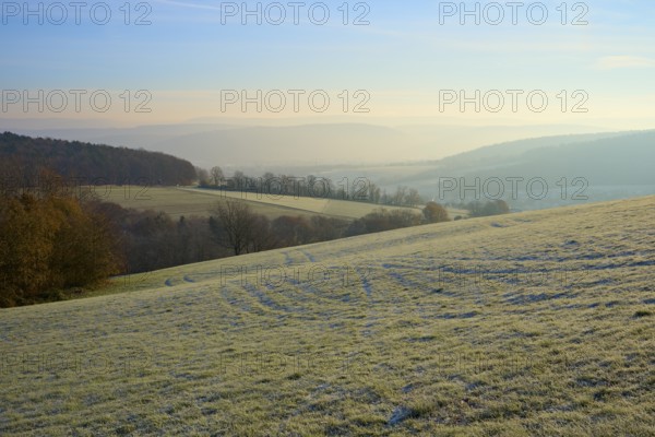 Morning fog hovers over a green, hilly landscape under clear skies, Seckmauern, Lützelbach, Maintal, Odenwald, Hesse, Germany