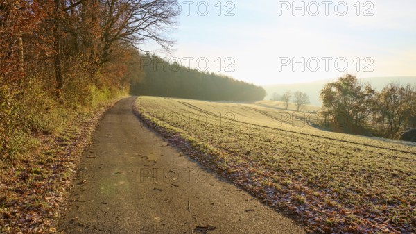 The path through a field under a clear sky in the quiet winter morning, Seckmauern, Lützelbach, Odenwald, Hesse, Germany