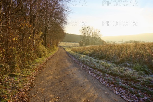 A quiet, frosty trail leads through nature on an early sunny morning, Seckmauern, Lützelbach, Odenwald, Hesse, Germany