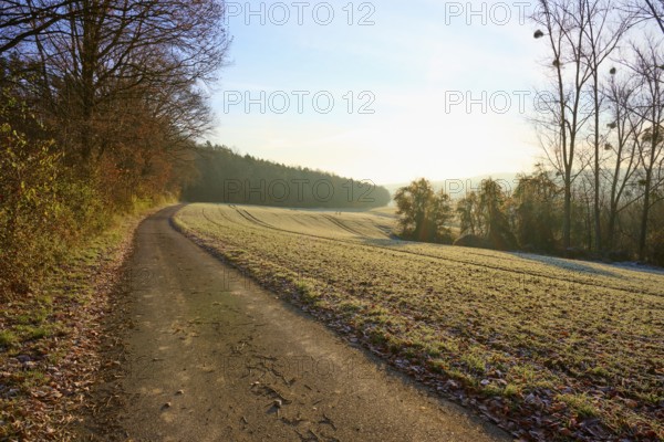 A field path leads through a frosty field, illuminated by the morning sun, Seckmauern, Lützelbach, Odenwald, Hesse, Germany
