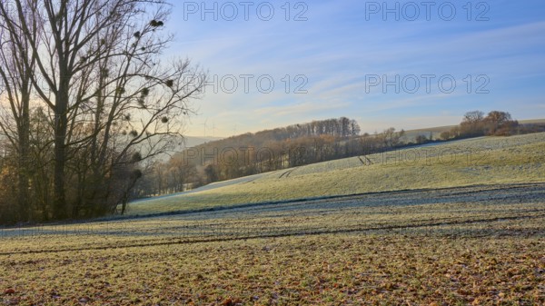 Frost on a wide field with rolling hills and morning light in the background, Seckmauern, Lützelbach, Odenwald, Hesse, Germany