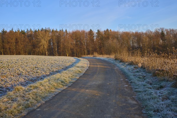 A frosty path leads through a wintry landscape under a clear, blue sky, Seckmauern, Lützelbach, Odenwald, Hesse, Germany