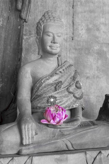 Sandstone Buddha statue, (Bhumispara mudra: Buddha Gautama at the moment of enlightenment), with tunic and lotus flower, Angkor Wat, Angkor Archaeological Park, Siem Reap, Cambodia